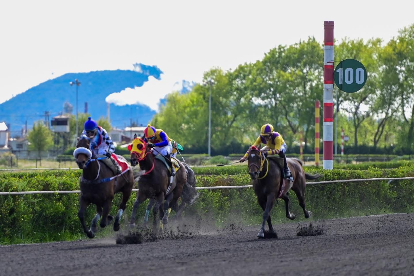 Pronóstico Club Hípico de Concepción