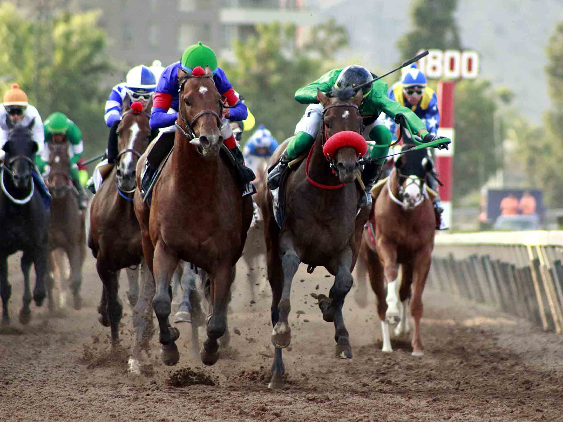 Pronóstico Hipódromo Chile